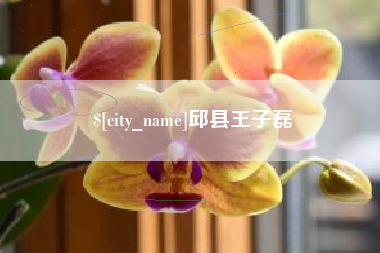 荆门邱县王子磊