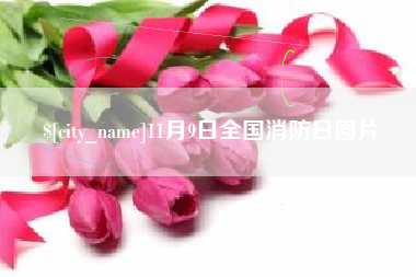 荆门11月9日全国消防日图片