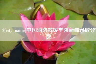 荆门中国消防救援学院新疆录取分数