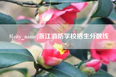荆门浙江消防学校招生分数线