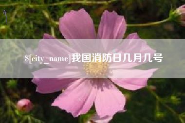 荆门我国消防日几月几号