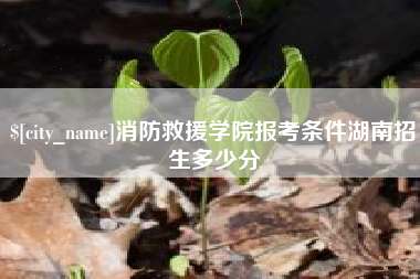 荆门消防救援学院报考条件湖南招生多少分