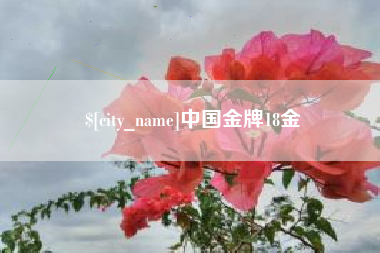 荆门中国金牌18金