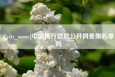 荆门中国执行信息公开网是黑名单吗