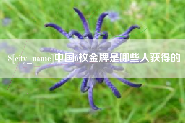 荆门中国6枚金牌是哪些人获得的