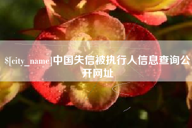 荆门中国失信被执行人信息查询公开网址