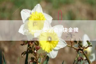 荆门奥运会39块金牌