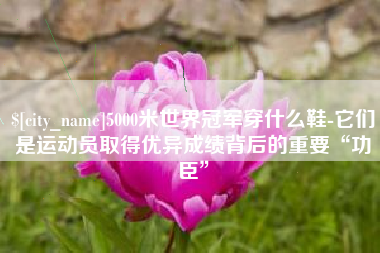荆门5000米世界冠军穿什么鞋-它们是运动员取得优异成绩背后的重要“功臣”