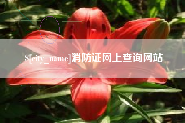 荆门消防证网上查询网站