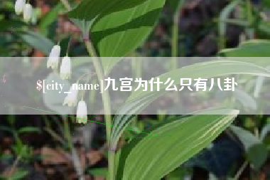 荆门九宫为什么只有八卦