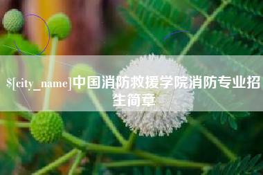 荆门中国消防救援学院消防专业招生简章