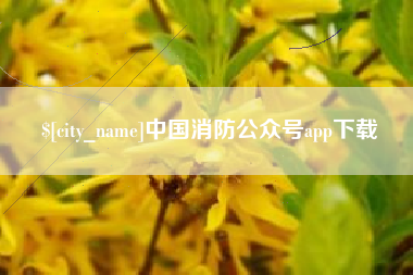 荆门中国消防公众号app下载
