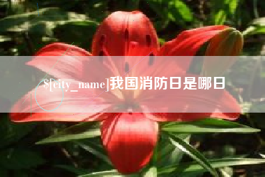 荆门我国消防日是哪日