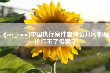 荆门中国执行案件查询公开网都是执行不了得案子