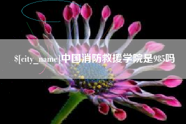 荆门中国消防救援学院是985吗