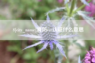 荆门消防ccc认证什么意思
