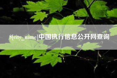 荆门中国执行信息公开网查询