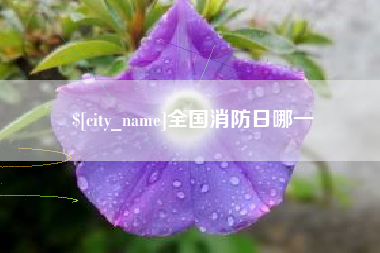 荆门全国消防日哪一