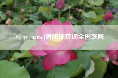 荆门消防证查询全国联网