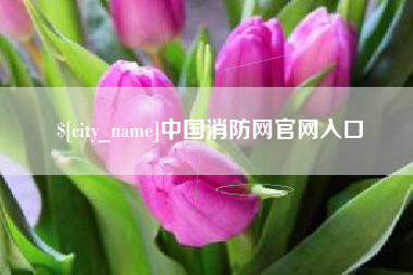 荆门中国消防网官网入口