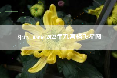 荆门2022年九宫格飞星图