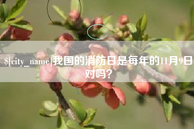 荆门我国的消防日是每年的11月9日对吗？