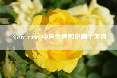 荆门中国金牌都是哪个项目