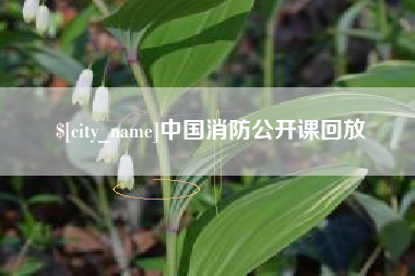 荆门中国消防公开课回放
