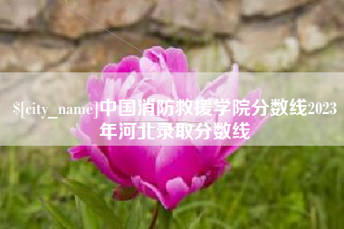 荆门中国消防救援学院分数线2023年河北录取分数线