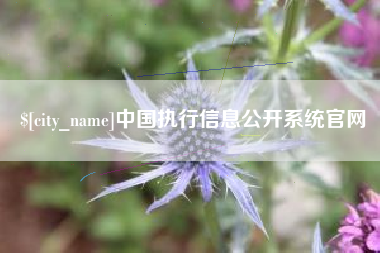 荆门中国执行信息公开系统官网