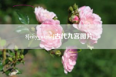 荆门古代九宫图片