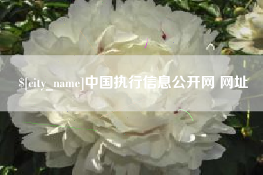 荆门中国执行信息公开网 网址