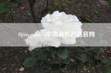 荆门中国消防产品官网