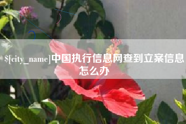 荆门中国执行信息网查到立案信息怎么办