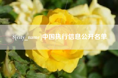 荆门中国执行信息公开名单