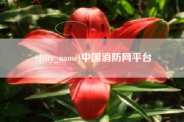 荆门中国消防网平台