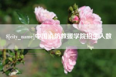 荆门中国消防救援学院招生人数