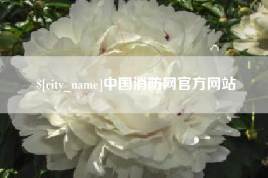 荆门中国消防网官方网站
