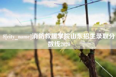 荆门消防救援学院山东招生录取分数线2020