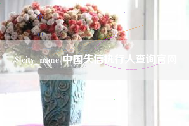 荆门中国失信执行人查询官网