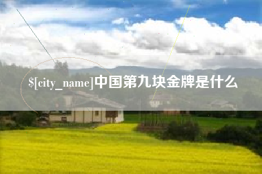 荆门中国第九块金牌是什么