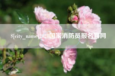 荆门2021国家消防员报名官网
