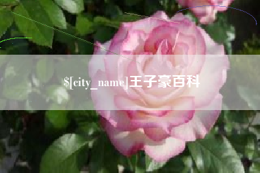 荆门王子豪百科