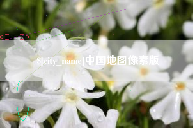 荆门中国地图像素版