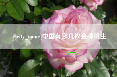 荆门中国有哪几枚金牌得主