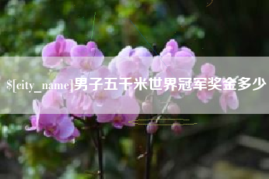 荆门男子五千米世界冠军奖金多少