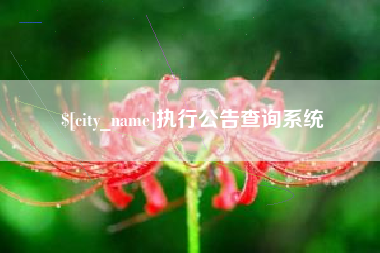 荆门执行公告查询系统