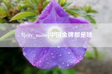 荆门中国金牌都是啥