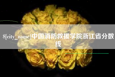 荆门中国消防救援学院浙江省分数线