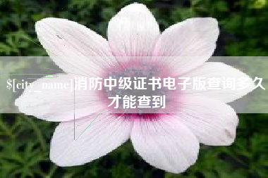 荆门消防中级证书电子版查询多久才能查到